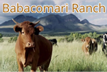 Babacomari Ranch