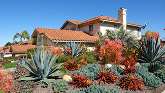 Rosie on the House Drought Tolerant Landscaping