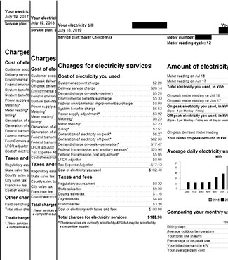 Rosie on the House Homeowner Example Electricity Bill