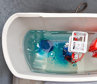 Rosie on the House Water Use It Wisely Food Coloring In Toilet Tank