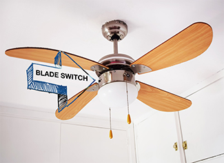 Rosie on the House Fan Blade Switch