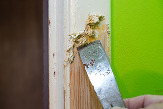 Rosie on the House Removing Lead Paint