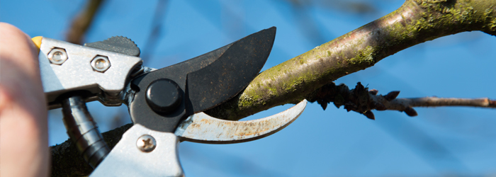 Pruning Made Easy: What to Do and What NOT to Do