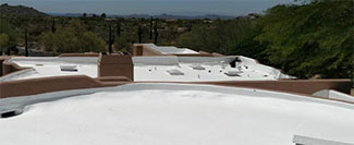 Rosie on the House Foam Roof