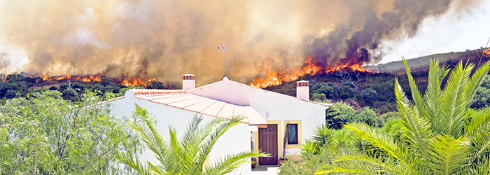 Can You Build an Arizona House to Survive a Wildfire?