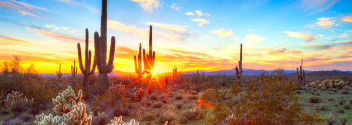 7 Reasons to Be Thankful You Live in Arizona