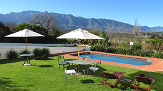 Rosie on the house outdoor pool area