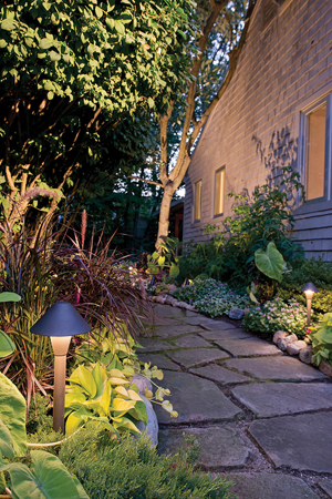 rosie on the house lighted pathway