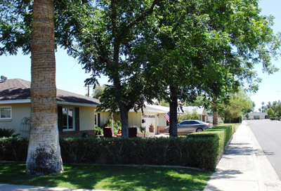 rosie on the house arcadia neighborhood