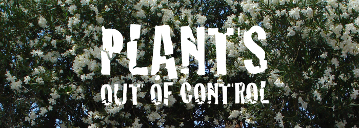 Plants: Out of Control