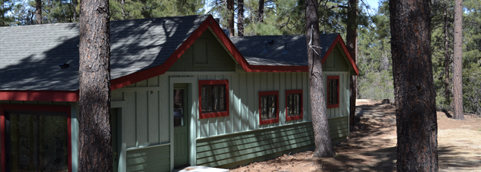 10 Questions to Ask Before You Buy a Little Cabin in the Big Woods