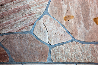 Rosie on the House Flagstone Close Up