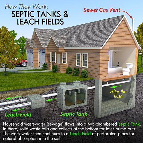 Rosie on the House Septic System and Leach Field