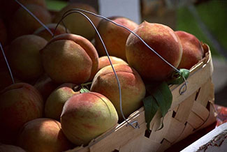 Rosie on the House Peaches Recipe