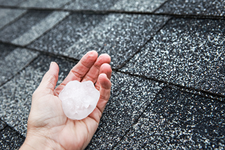 Rosie on the House Big Hail On Roof