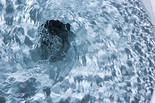 shutterstock 129991544