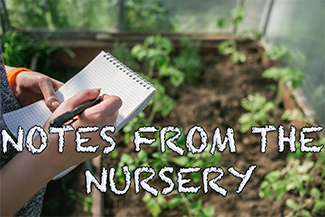 Notes from the Nursery with Jay Harper